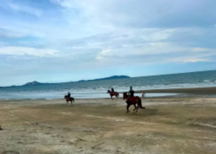 Timurbay Beach Resort Kuantan By Ana